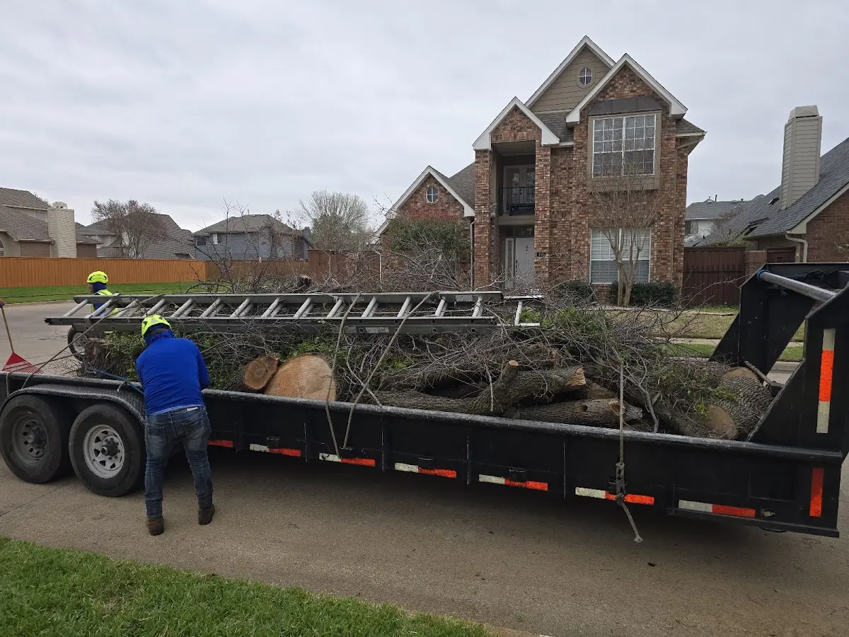 Expert Tree Pest Control with proper safety equipment in Central Lake